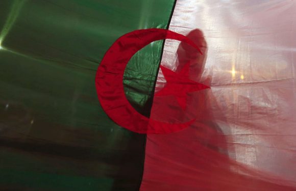 «Le pouvoir cherche à gagner du temps»… En Algérie, les annonces s’enchaînent mais la crise perdure