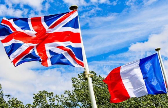 L&rsquo;imminence du Brexit a boosté les demandes de naturalisation des Britanniques en Occitanie