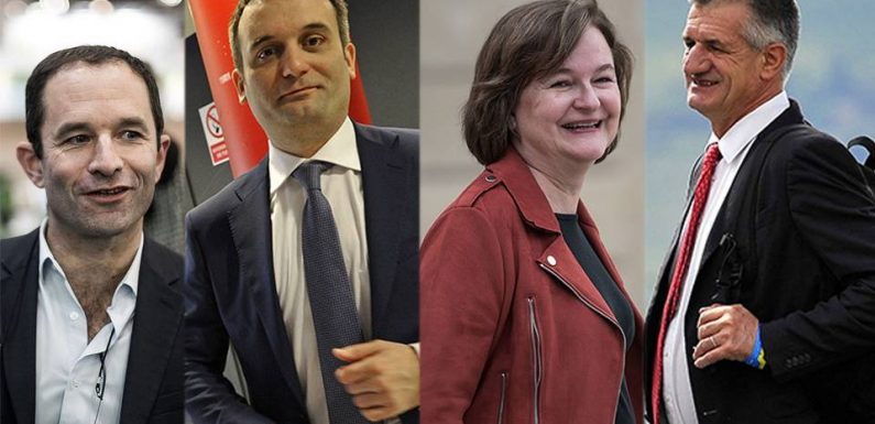 VIDEO. Européennes: Benoît Hamon, Jérémy Clément, Nathalie Artaud… Qui sont les têtes de liste?