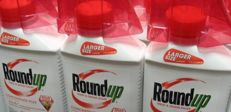 Second procès du Roundup: Monsanto condamné à payer près de 81 millions de dollars