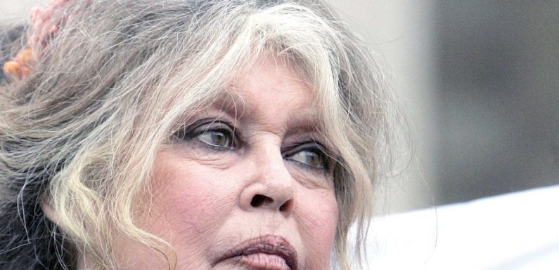 La Réunion: Bardot présente des excuses et redit sa révolte