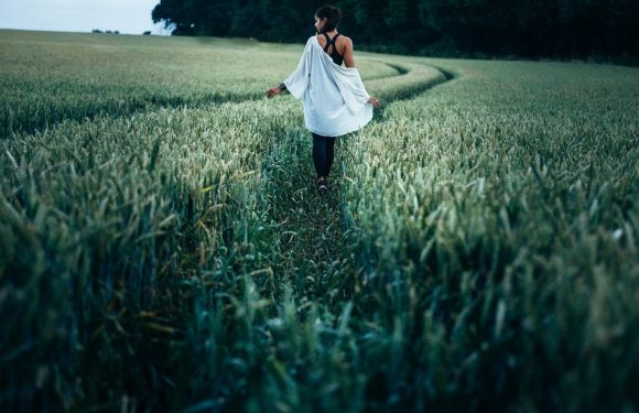 Pollution et allergies: Pourquoi certains citadins souffrent-ils davantage à la campagne qu&rsquo;en ville?