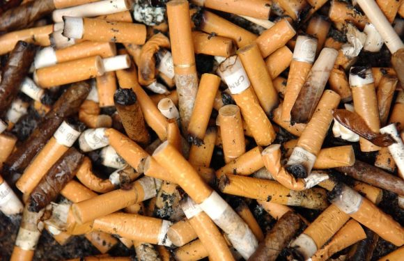 Paris: 70.000 déchets ramassés en quelques heures autour d’un canal de la capitale