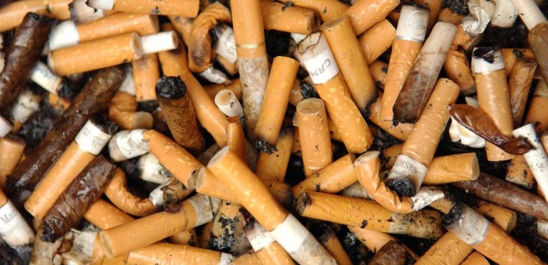 Paris: 70.000 déchets ramassés en quelques heures autour d’un canal de la capitale