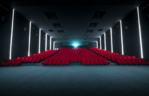 VIDEO. Marseille: Un nouveau cinéma s’installe dans un contexte de pénurie