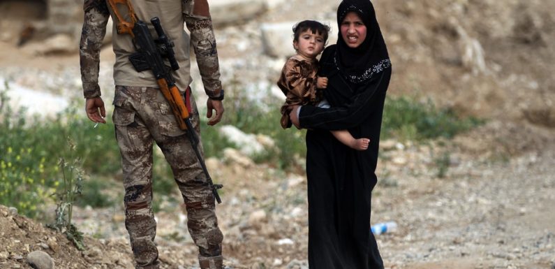 Une fillette de 3 ans, enfant de djihadiste, rapatriée d’Irak en France