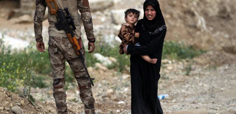 Une fillette de 3 ans, enfant de djihadiste, rapatriée d’Irak en France
