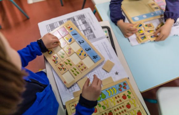 Non, le projet de loi Blanquer ne prévoit pas la disparition des écoles maternelles et primaires