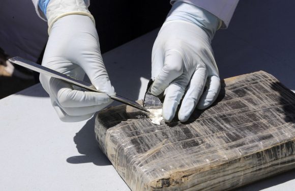 Etats-Unis: Environ 1,5 tonne de cocaïne saisie dans le port de New York