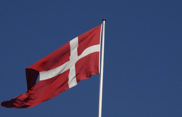 Identité: Le Danemark va priver de nationalité les enfants de djihadistes