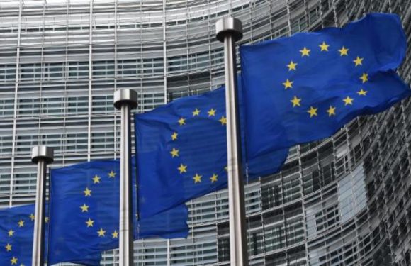 Européennes: LREM en tête, le Rassemblement national réduit l&rsquo;écart, selon un dernier sondage