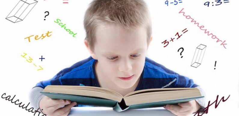 Ils se sont réconciliés avec les maths: «J’apprécie désormais aussi les probas, c’est dire!»