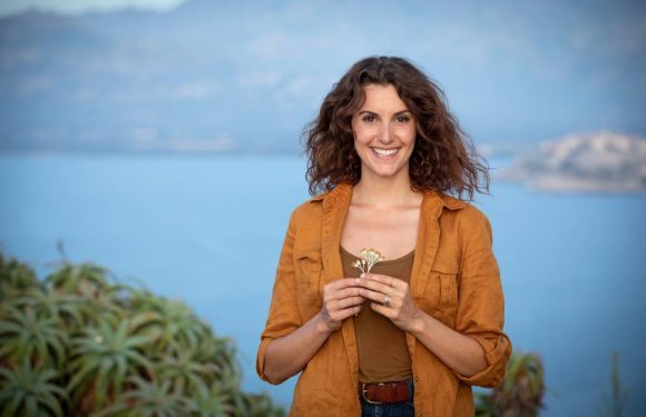 «Thalassa»: Les raisons de l&rsquo;accident de montgolfière pendant le tournage de l&rsquo;émission