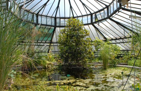 Loto du patrimoine: C&rsquo;est manqué pour la serre du jardin botanique de Strasbourg