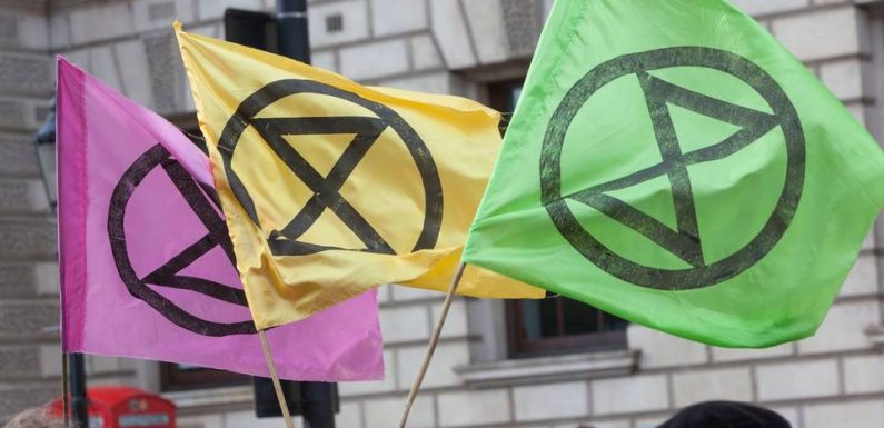 Le mouvement de désobéissance écolo «Extinction rebellion» débarque en France
