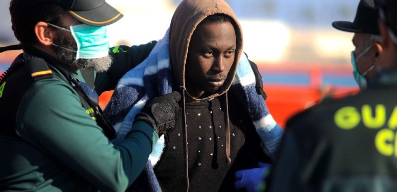 AUDIO: «Minute Papillon!»: Conformité des tests osseux sur des migrants mineurs et premier site web français