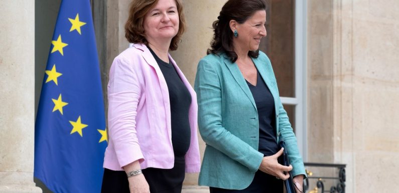 Européennes: Pourquoi les ministres Buzyn et Loiseau tiennent la corde pour mener la liste macroniste
