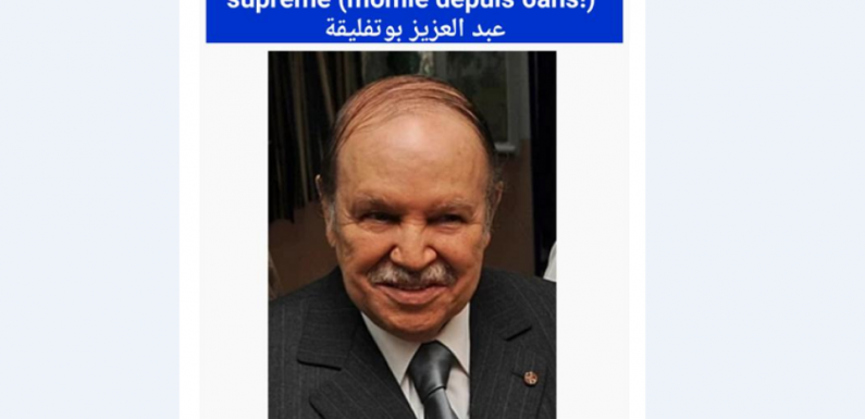 «Dictateur suprême», «momie depuis 6 ans»… La biographie Wikipédia de Bouteflika modifiée par un internaute
