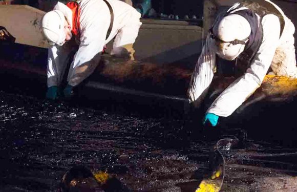 VIDEO. Naufrage du «Grande America»: «Un jour ou l&rsquo;autre, de la pollution arrivera sur nos côtes, c&rsquo;est certain»