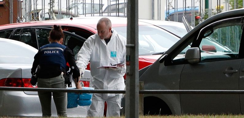 VIDEO. Attentats de Christchurch: Un deuxième homme inculpé pour avoir partagé de la vidéo de la tuerie
