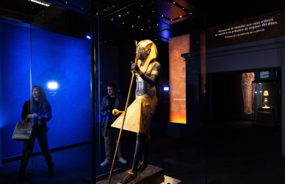 Expo Toutânkhamon: «J’vous jure Madame la statue a bougé», on a fait la visite avec des collégiens