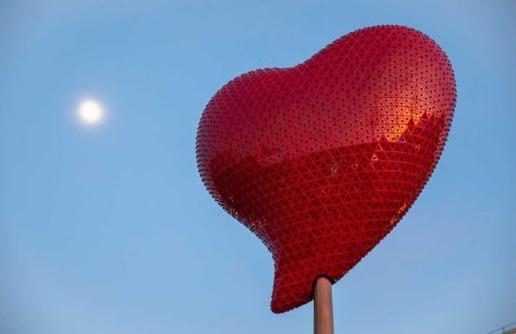 Syndrome du cœur brisé: «Votre cerveau se met en mode « agression absolue » et c’est l’infarctus»