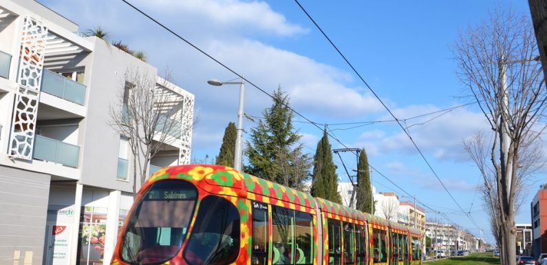 Vous avez voté: Le plus beau tramway de France circule à Montpellier