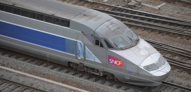 Saint-Brieuc: Un homme cagoulé arrêté dans un TGV, les passagers évacués