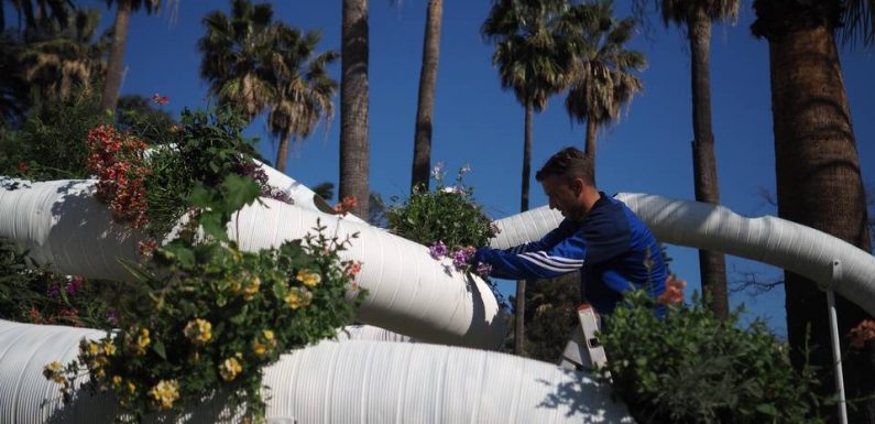 VIDEO. De Nice à Cannes, quinze jardins éphémères en compétition offrent des «rêves de Méditerranée»