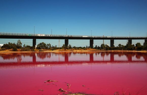 Ce lac en Australie est soudainement devenu rose