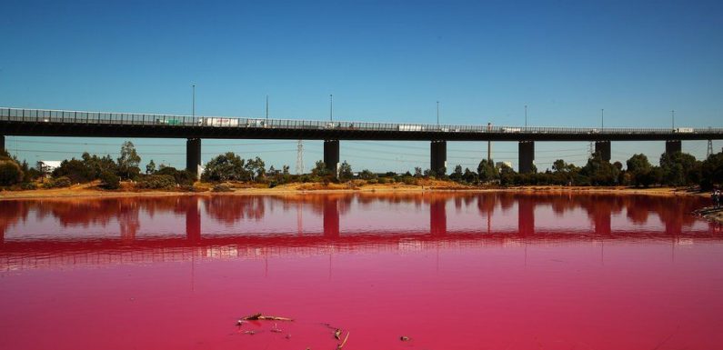 Ce lac en Australie est soudainement devenu rose