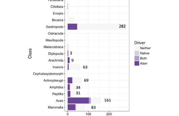 Le « changement climatique » ne cause pas de disparition d’espèces