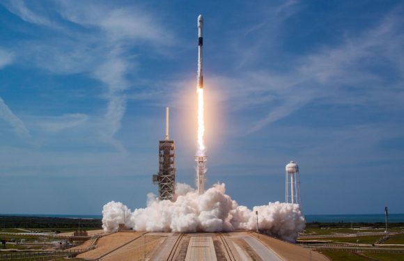 Worms in space: why we are launching them