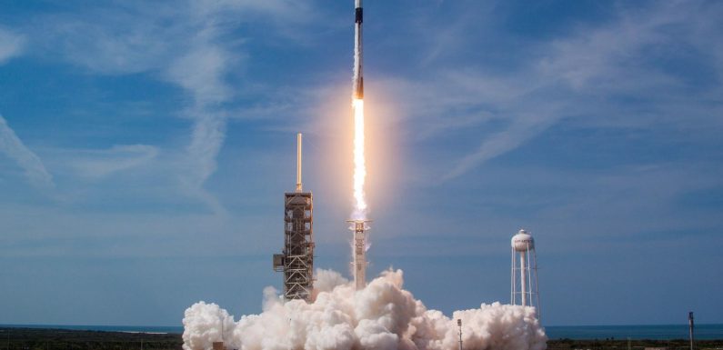 Worms in space: why we are launching them