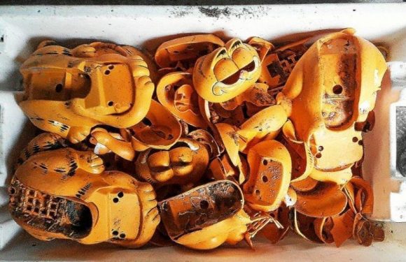 Depuis plus de 30 ans, des téléphones «Garfield» s’échouent sur une plage bretonne. Le mystère vient d’être résolu