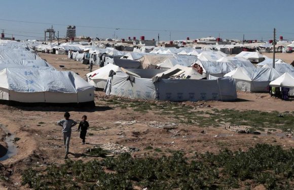 Retour des enfants de djihadistes : deux avocats saisissent la Cour européenne des droits de l’homme