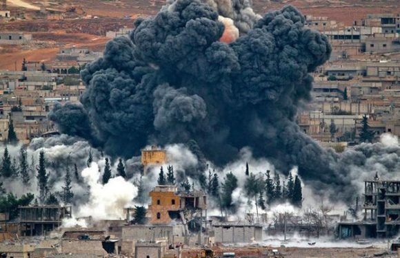 « Si on veut vraiment arrêter le biocide en cours, les petits gestes ne suffisent pas »