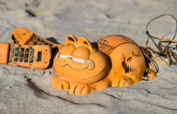 On sait enfin pourquoi des téléphones Garfield s&rsquo;échouent sur des plages bretonnes