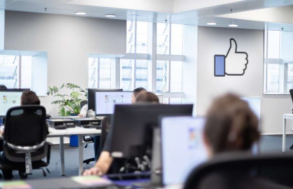 Pourquoi Facebook arrive mieux à supprimer les photos de seins que les vidéos terroristes