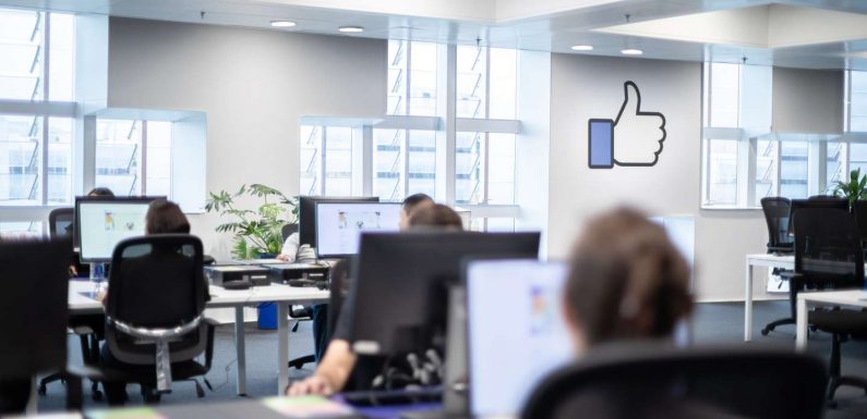 Pourquoi Facebook arrive mieux à supprimer les photos de seins que les vidéos terroristes