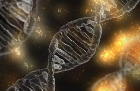Des scientifiques ont réussi à filmer de l’ADN en mutation