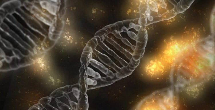 Des scientifiques ont réussi à filmer de l’ADN en mutation