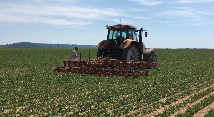 Le « sans résidus de pesticides », la nouvelle tendance de l’agroalimentaire adoptée par Bonduelle