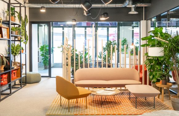 5 conseils pour bien végétaliser son espace de travail