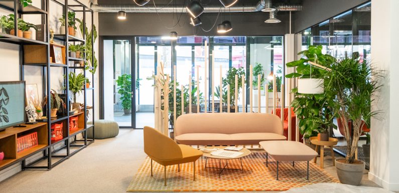 5 conseils pour bien végétaliser son espace de travail