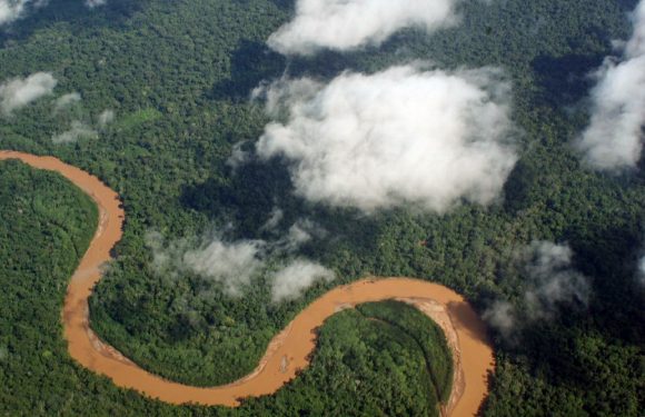 Ça y est… Le gouvernement brésilien sur le point d’exploiter les réserves indigènes