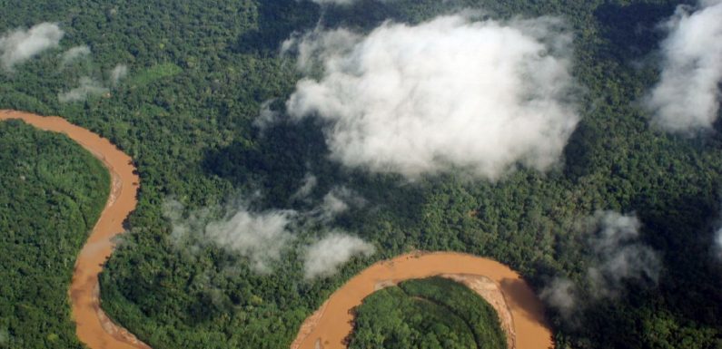 Ça y est… Le gouvernement brésilien sur le point d’exploiter les réserves indigènes