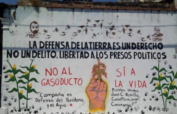 Au Mexique et au Brésil, les assassinats de défenseurs de l’environnement se poursuivent
