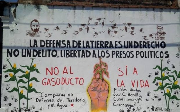Au Mexique et au Brésil, les assassinats de défenseurs de l’environnement se poursuivent