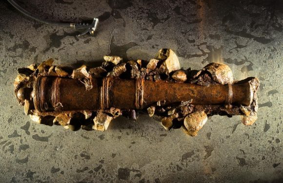 Le butin retrouvé sur le Queen Anne&rsquo;s Revenge est bien celui de Barbe Noire